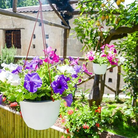 Holiday House Ruocco مايوري المظهر الخارجي الصورة